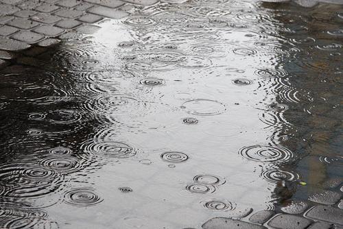 在雨中的组成：种类的雨点_800字