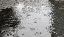 关于雨的作文：知心小雨点_800字