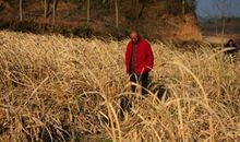 乡村漫步_1000字