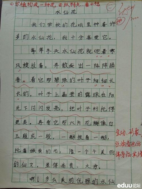 神秘_350字
