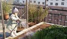 即兴小诗二首_250字