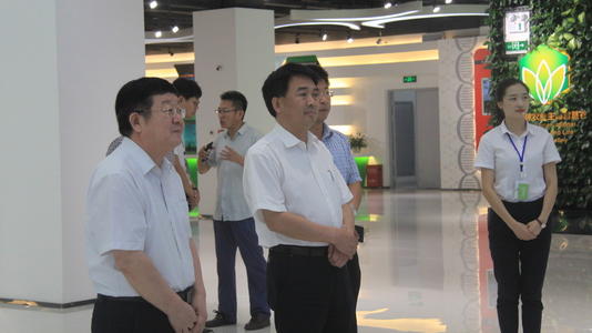 访问_900字