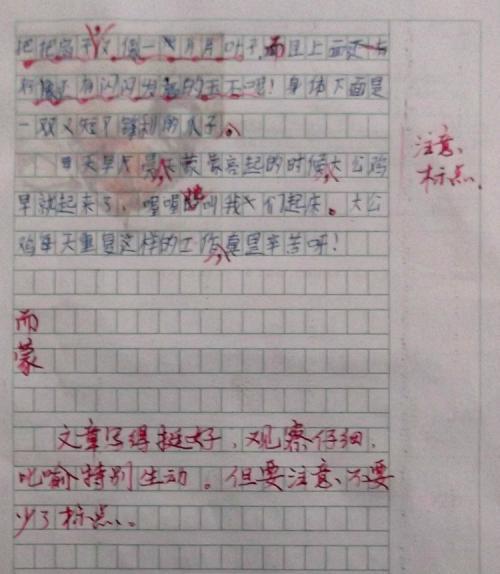 一旦有_1200字