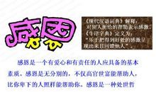 高三作文：全面发展，成就未来_900字