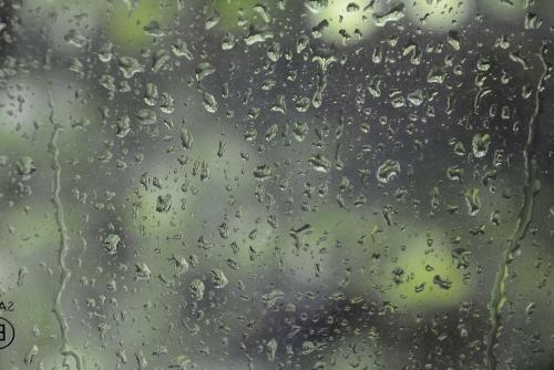 雨伴随_1000字