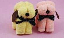 神奇的小毛巾_450字