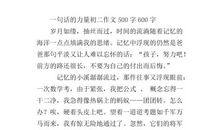 初二期末考试作文：最好的行囊_800字