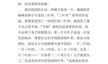 初二期末考试作文：漫步古诗苑_500字