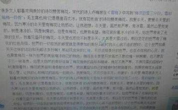 第二集结束：美国古诗_550字