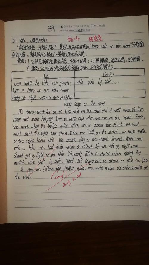 第一个测试组成的结束：诗歌在世界上的烟花_700字