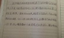 六年级期末考试作文：暑假的喜怒哀乐_700字