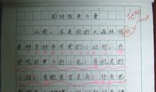 一年级期末考试作文：我的姐姐_400字