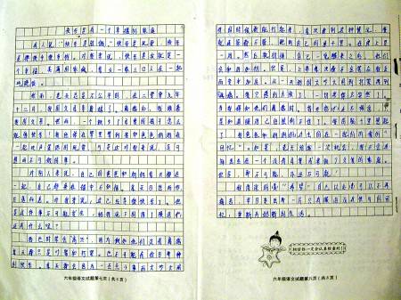 一年的最终考试成分：我爸爸_400字