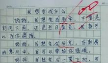 二年级期末考试作文：自己去过的地方_450字