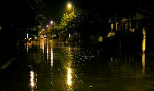 四年级作文：伤心的滋味_900字