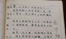 写作方法：确立作文的中心_1000字