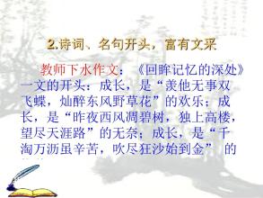写作方法：高中语言叙述_3000字