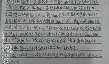 关于小白兔的作文：小白兔_350字