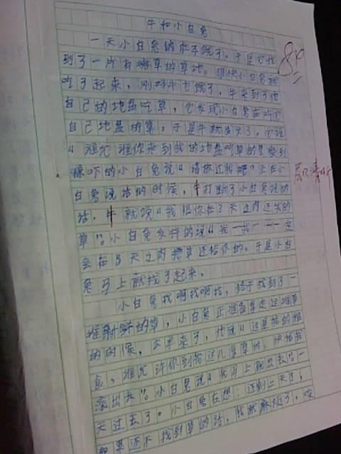 与小波兔子的组成：小白兔_500字