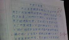 关于小白兔的作文：小白兔_500字