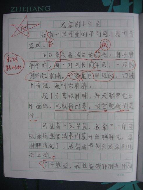 与小鼠兔子的组成：小白兔子_1000字