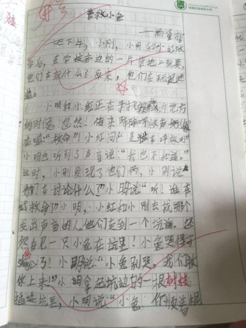 与小波兔的组成：小白兔子_300字