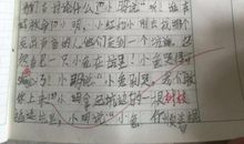 关于小白兔的作文：小白兔_300字