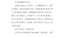 五年级状物作文：小草_450字