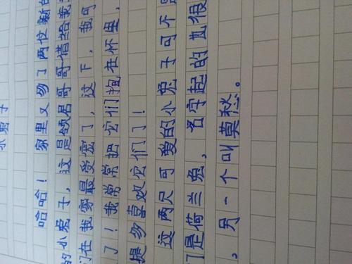 与小波兔的组成：小白兔子_600字
