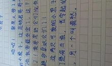 关于小白兔的作文：小白兔_600字