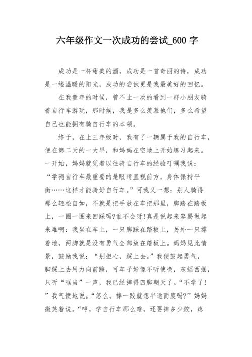 关于勇敢的作文：这是一个勇敢的尝试_650字