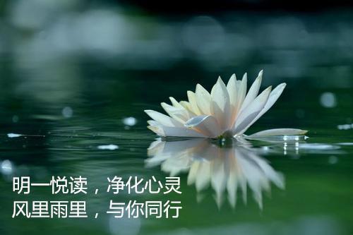 勇敢是财富_650字