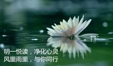 勇敢是财富_650字