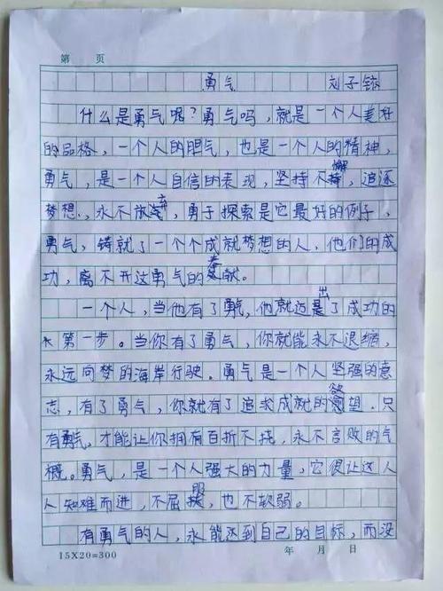 关于勇敢的作文：勇敢的“踩平”_550字