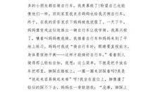 一次勇敢的经历_800字