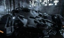 勇敢的我“大战”蝙蝠_800字