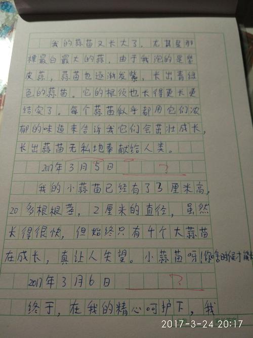 四年级最终考试成分：大蒜观察日记（5）_700字