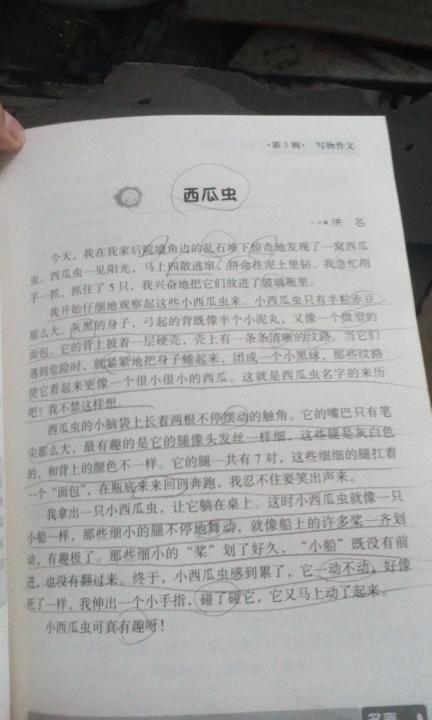 四年级最终考试成分：猫观察日记_550字