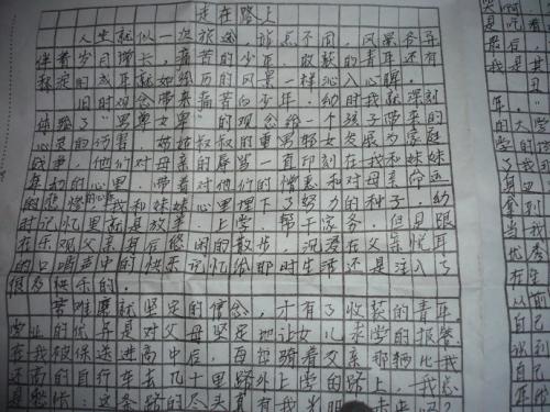 四年级最终考试成分：猫观察日记（2）_900字