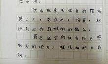 四年级期末考试作文：蒜苗的观察日记_400字