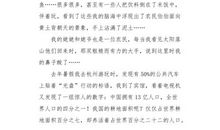 关于环保的作文：珍惜资源有我责任_900字