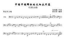 中国，中国，心中的太阳永不落！_1500字