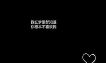 我该把它放在梦里吗_250字