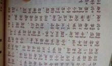 关于小白兔的作文：小白兔_900字