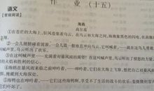 关于勇敢的作文：当一只勇敢的海燕_700字