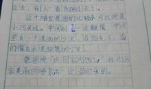 高三期末考试作文：找准自己的位置_900字