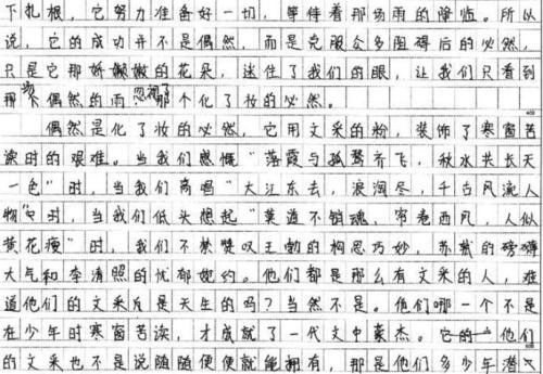 高中测试组成：伴侣柜台_800字