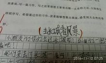 高一期末考试作文：爬上屋顶看风景_750字