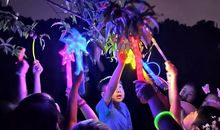 勇敢独立笑傲生活_1200字