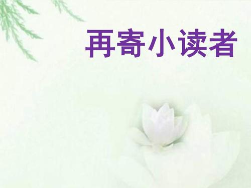 阅读“发送小读者”_500字